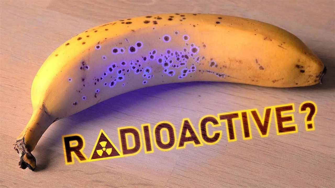 Are bananas really ‘radioactive’?