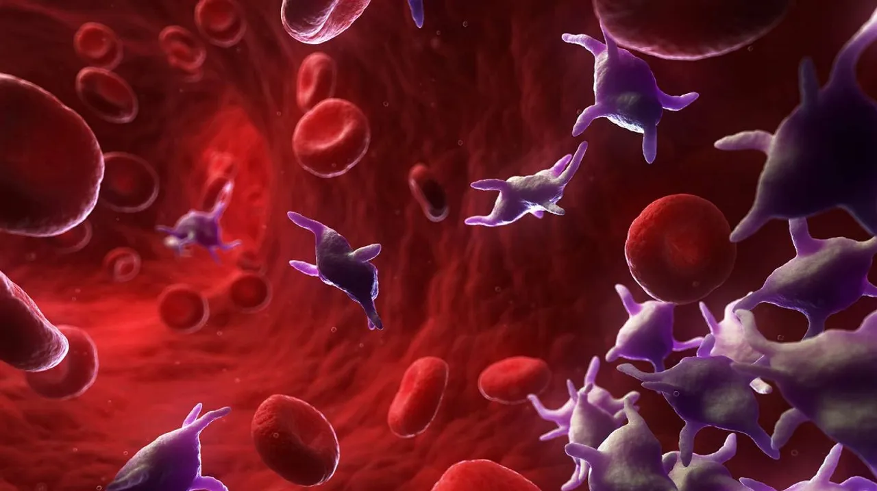Platelets.jpg