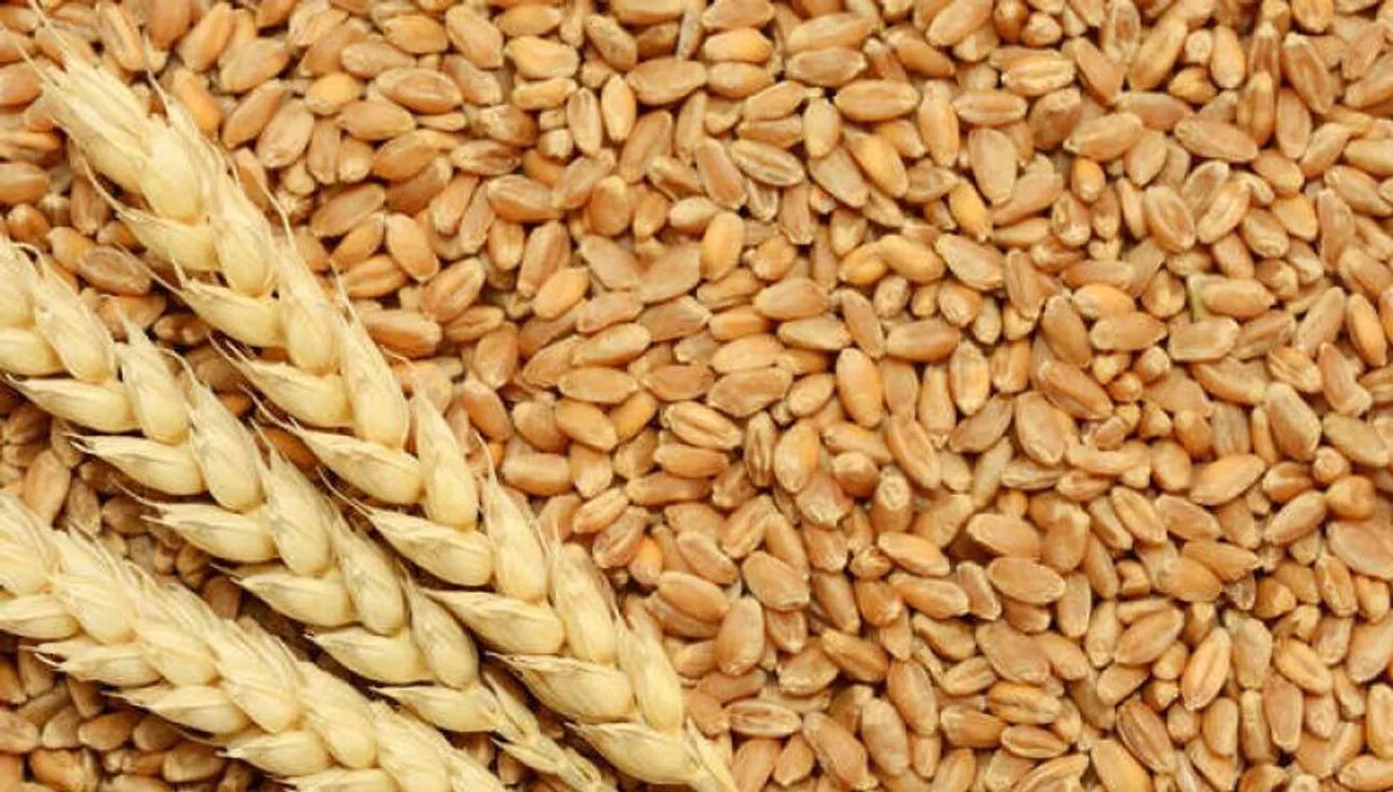 Rabi Season Wheat Production