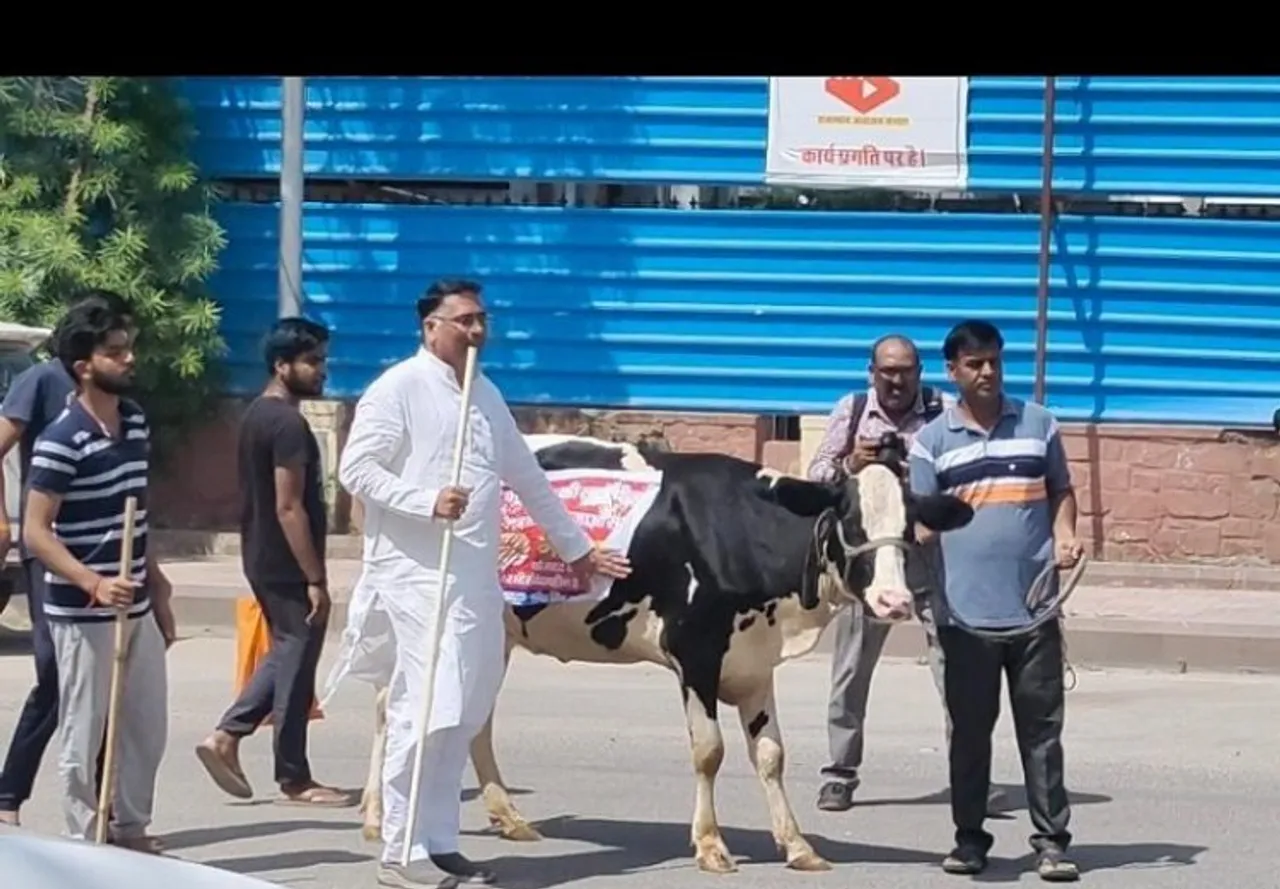 Pushhkar MLA Suresh Singh Rawat brings Cow in Rajasthan assembly