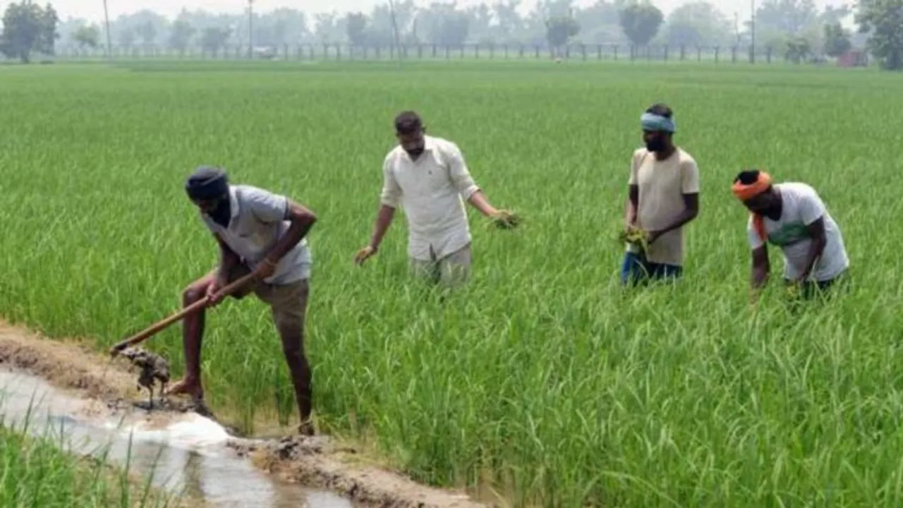 Govt's farm loan waiver scheme didn't do much for Maha farmers