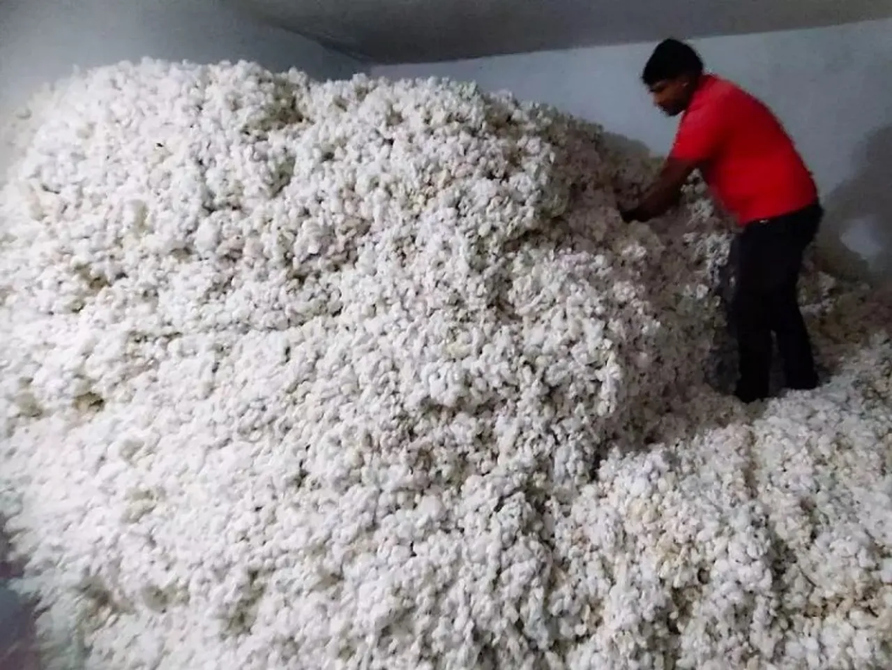 Finance Minister extends duty exemption on raw cotton imports till October 31