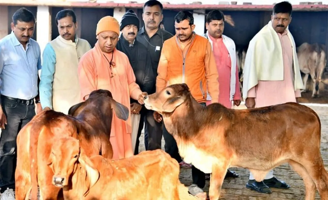 Uttar Pradesh Chief Minister Yogi Adityanath (File photo)