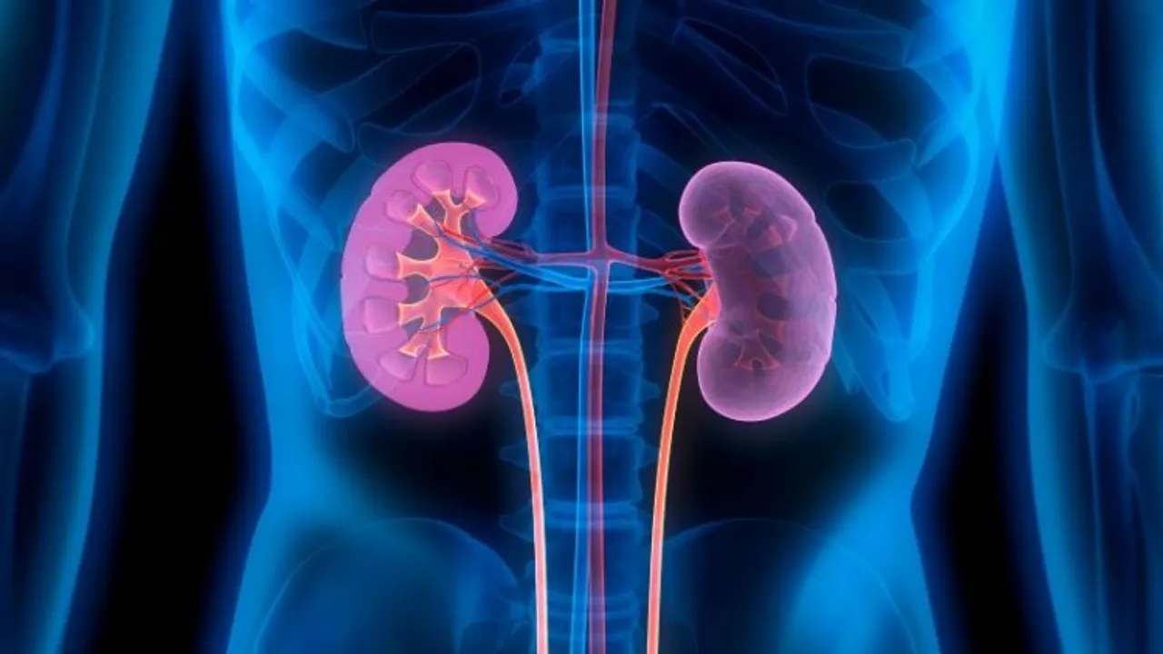 Bayer introduces medication for chronic kidney disease