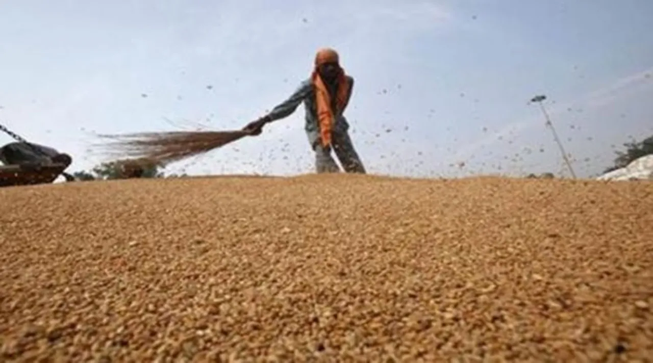 Commercial wheat imports from India key supply line for Yemen: UN official