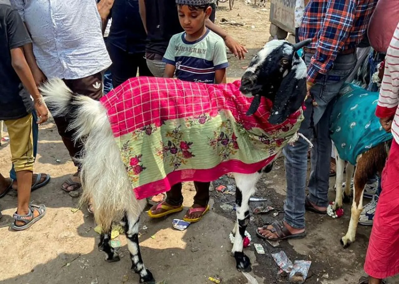 A prized goat worth Rs. 30 lakh for sale, on the eve of Eid-Al-Adha festival, at Meena Bazaar in Old Delhi