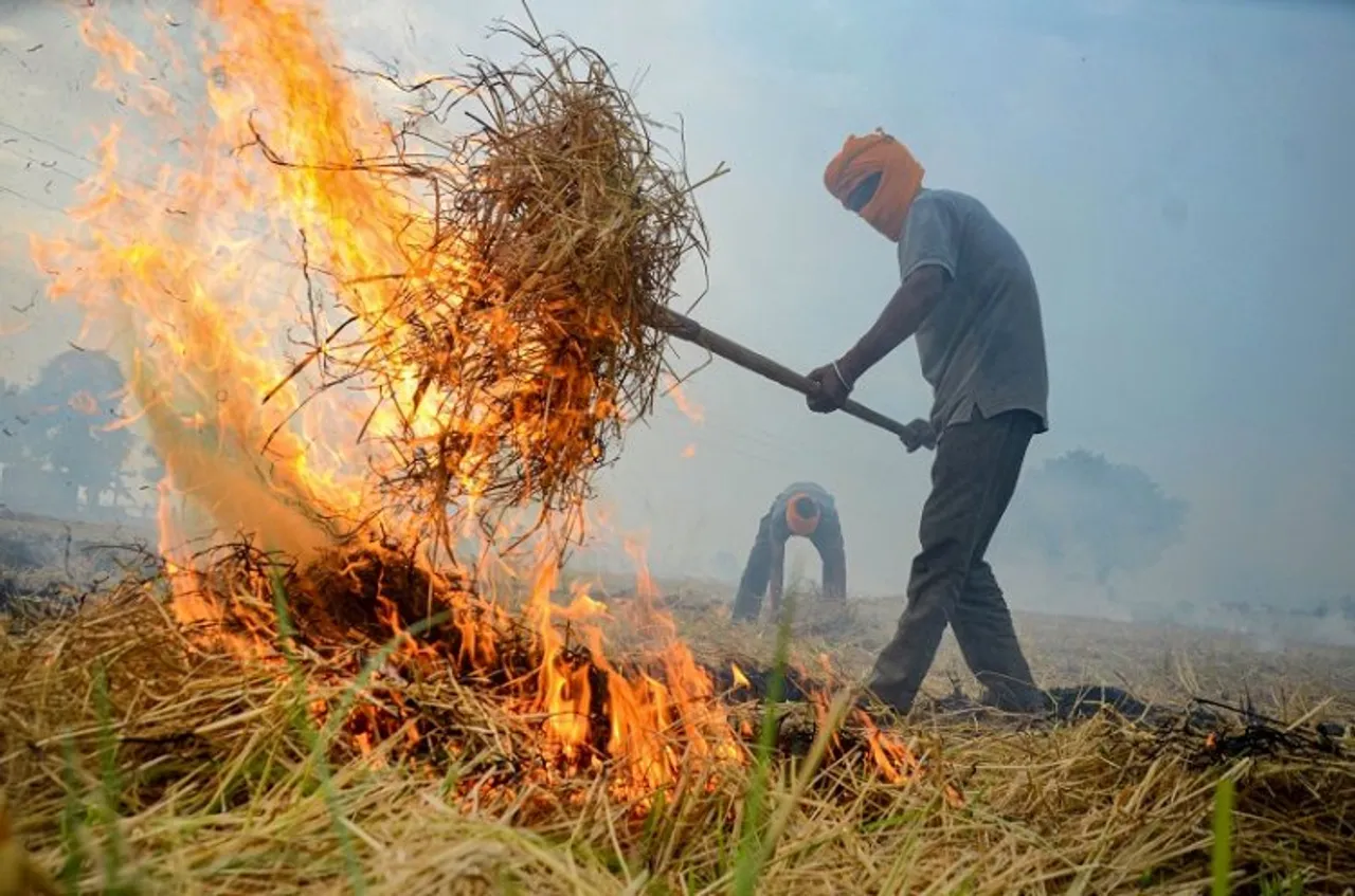 Significant drop in number of farm fires in Punjab, Haryana this year: CAQM