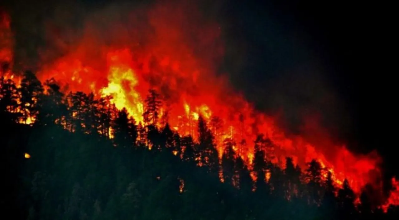 New approach: Multiple swarms of drones to tackle natural disasters like forest fires