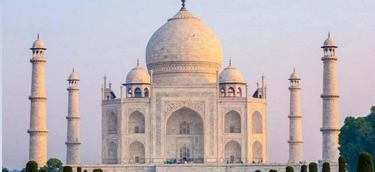 Insects and algae from river Yamuna changing Taj Mahal's colour to green: ASI to SC