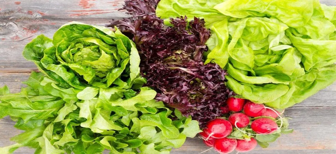 Stay flu free with these food items