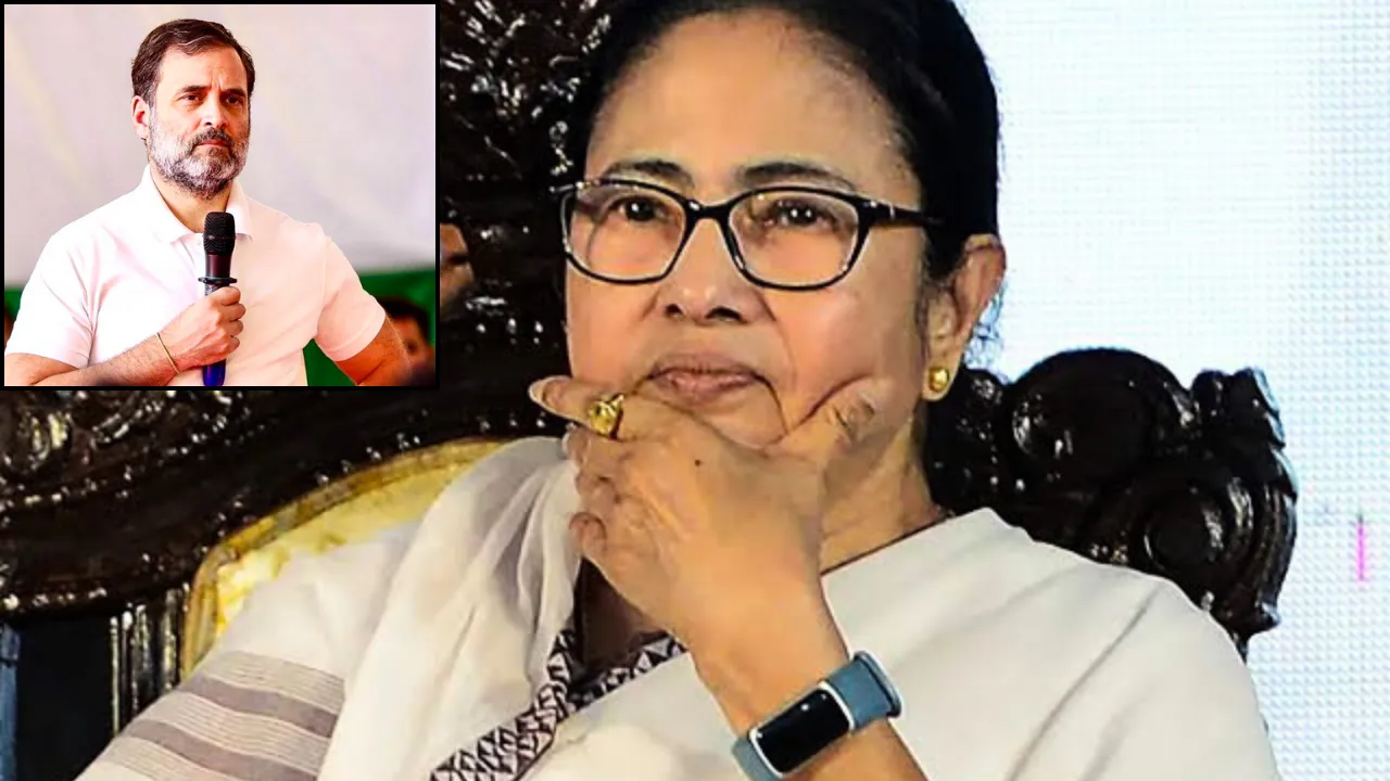 mamata banerjee