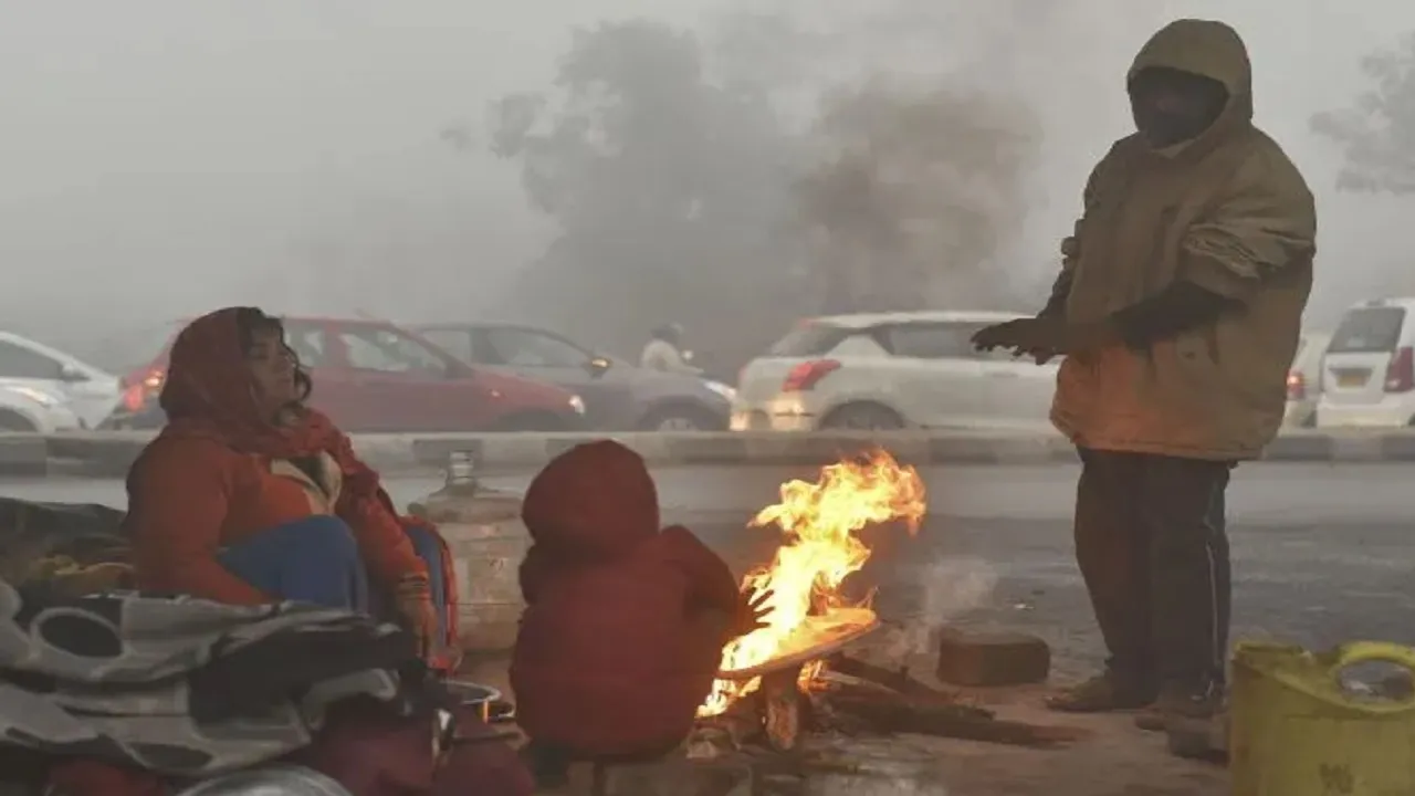 North India Cold Wave