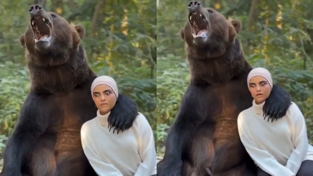 VIRAL BEAR VIDEO SELFIE