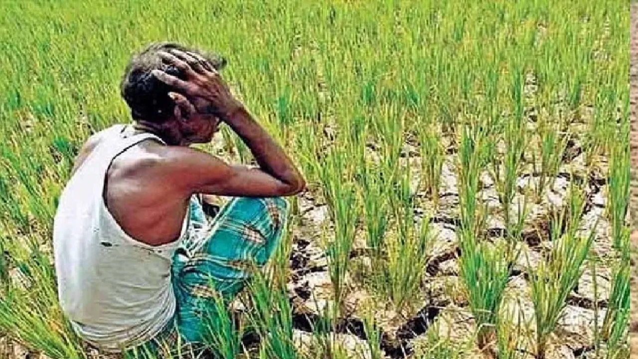 bihar farmer