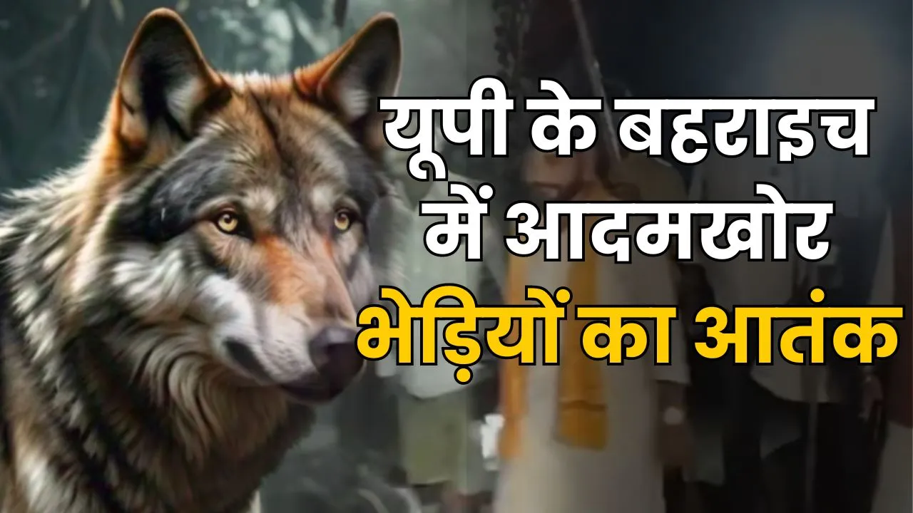 Bahraich Wolves Terror