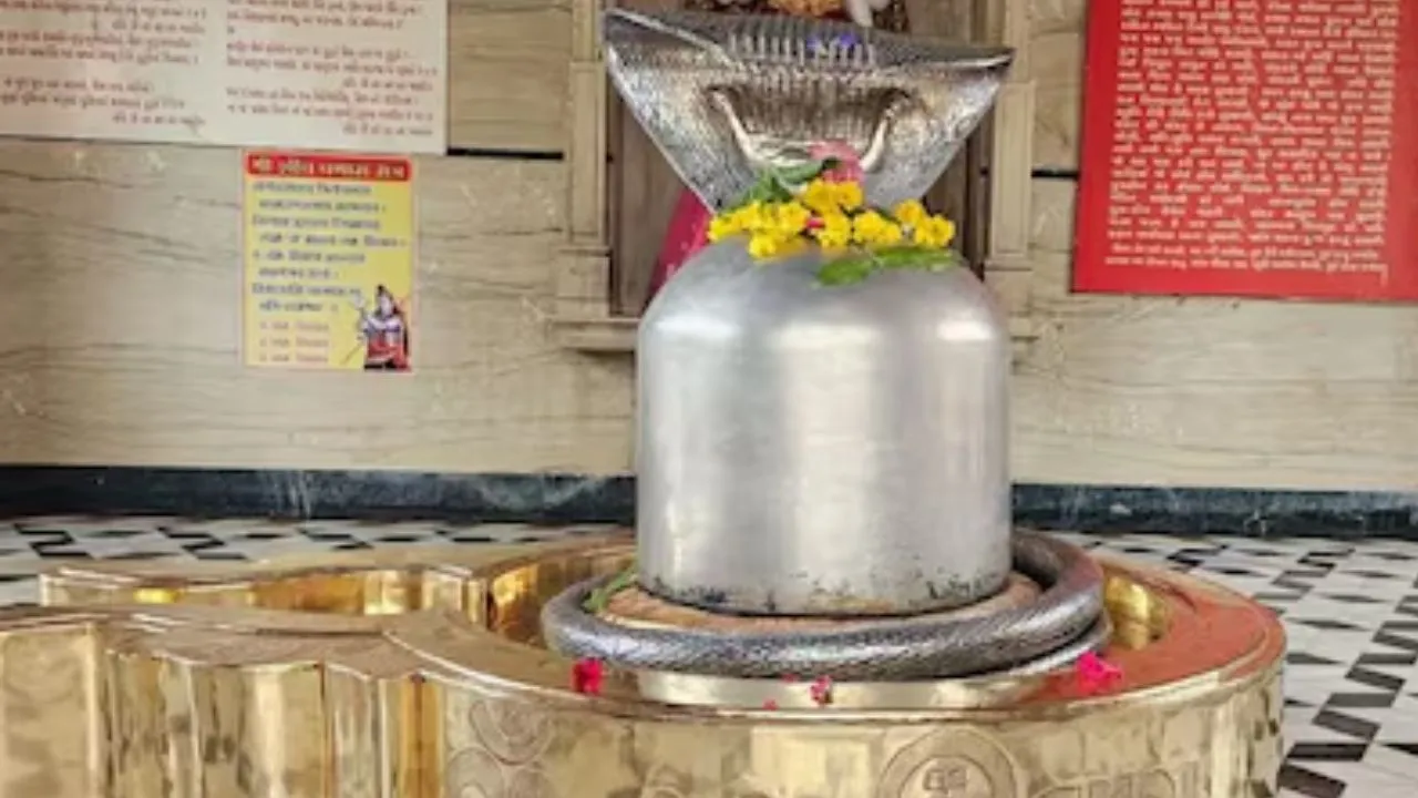 World Heaviest Shivling