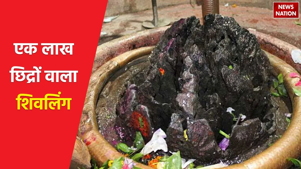 Shivling of Kharod Laxmaneshwar Mahadev temple