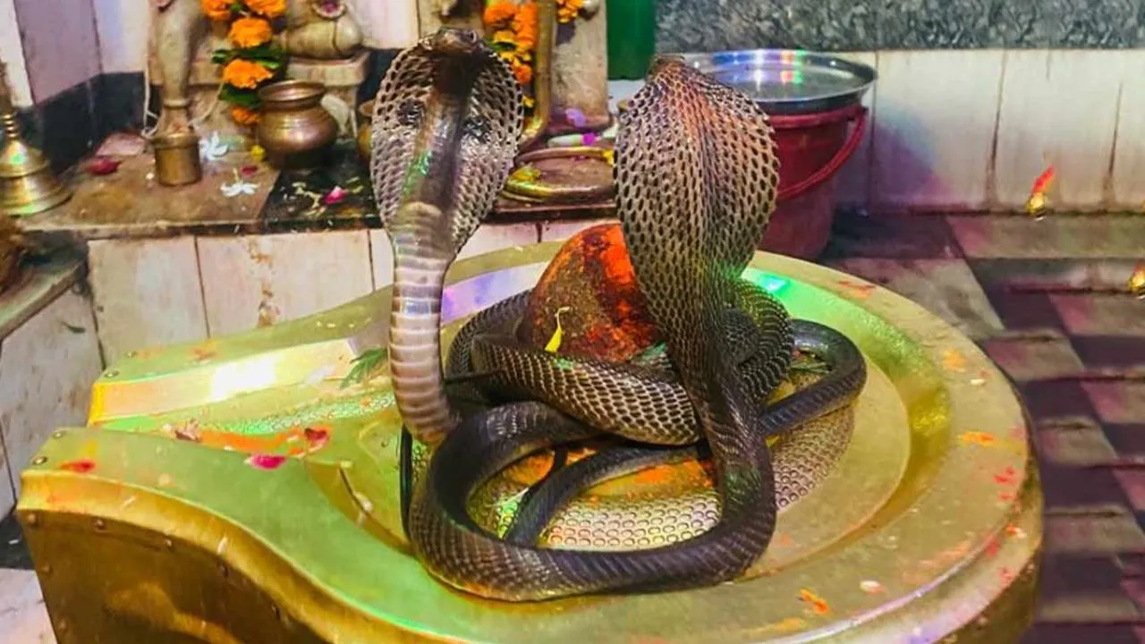 Nag Panchami 