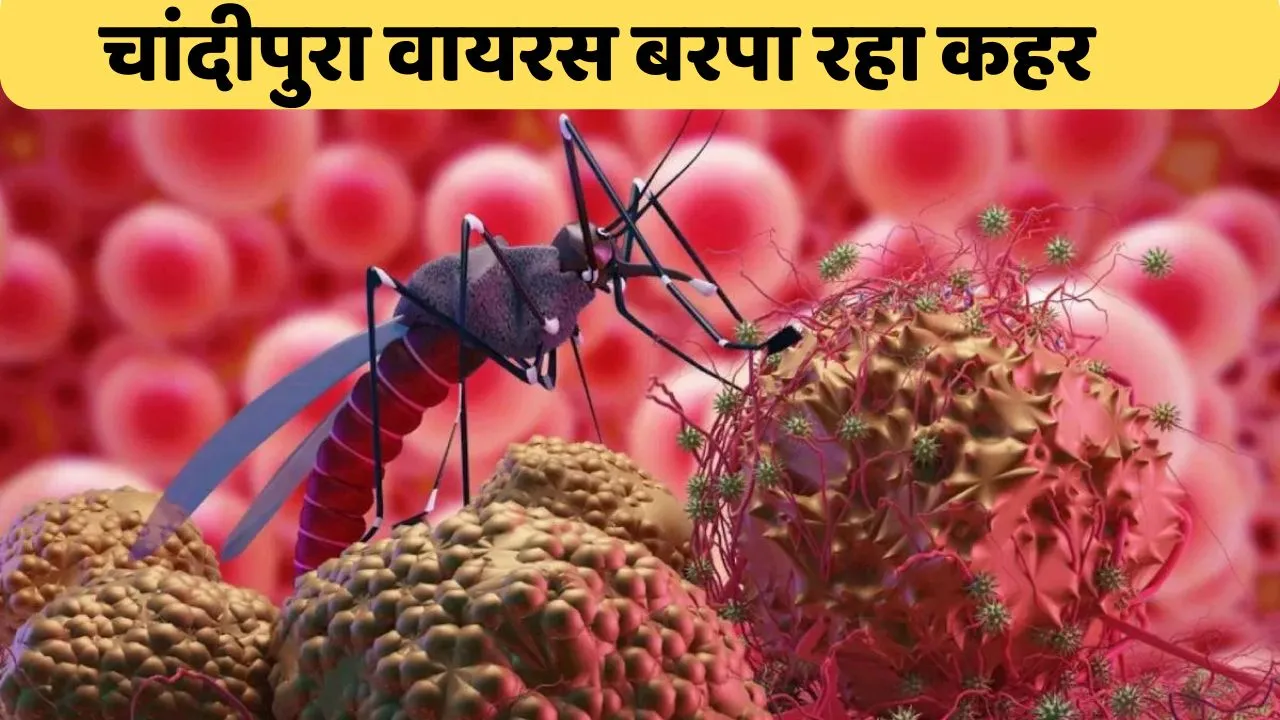 Chandipura Virus