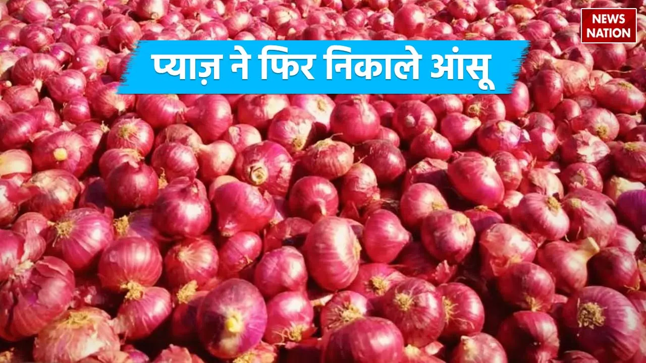 onion-price4