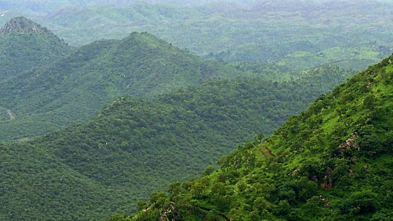 General Knowledge Fact About Aravalli Mountain