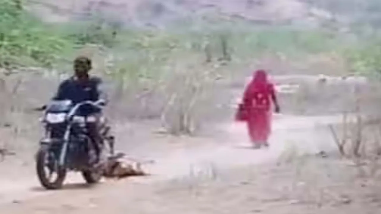 Rajasthan Viral Video