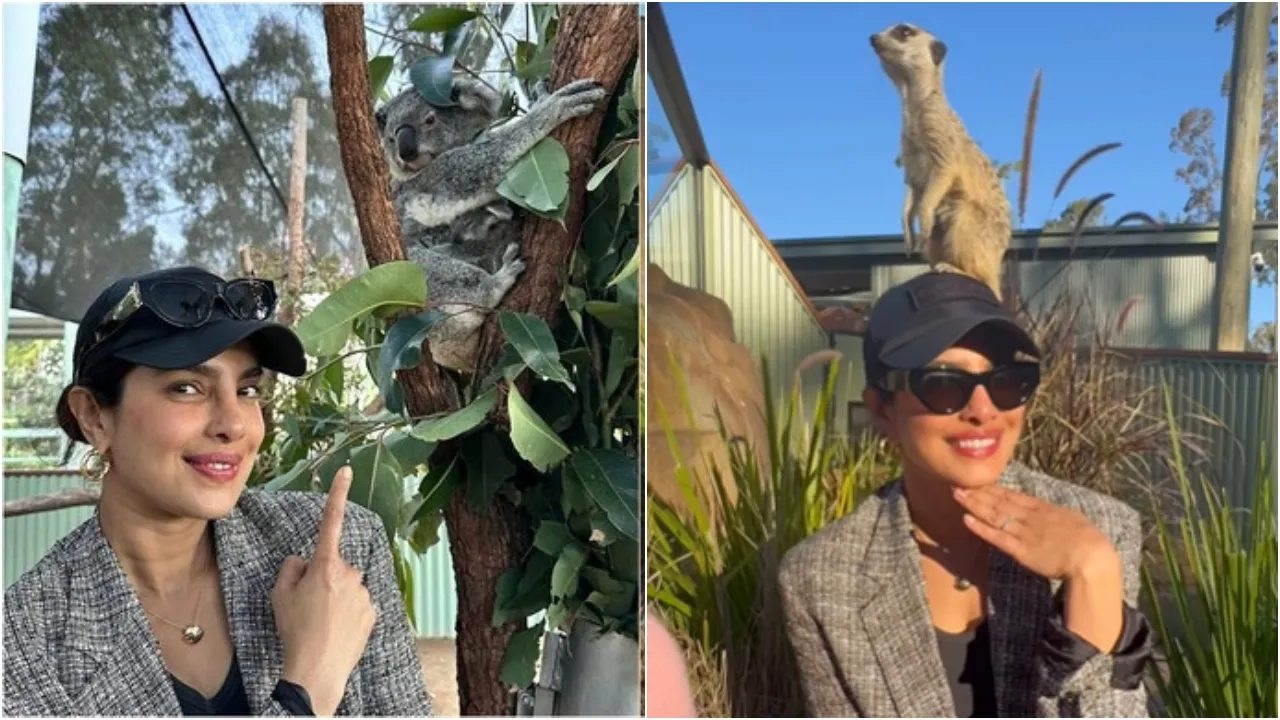 Priyanka Chopra Koala