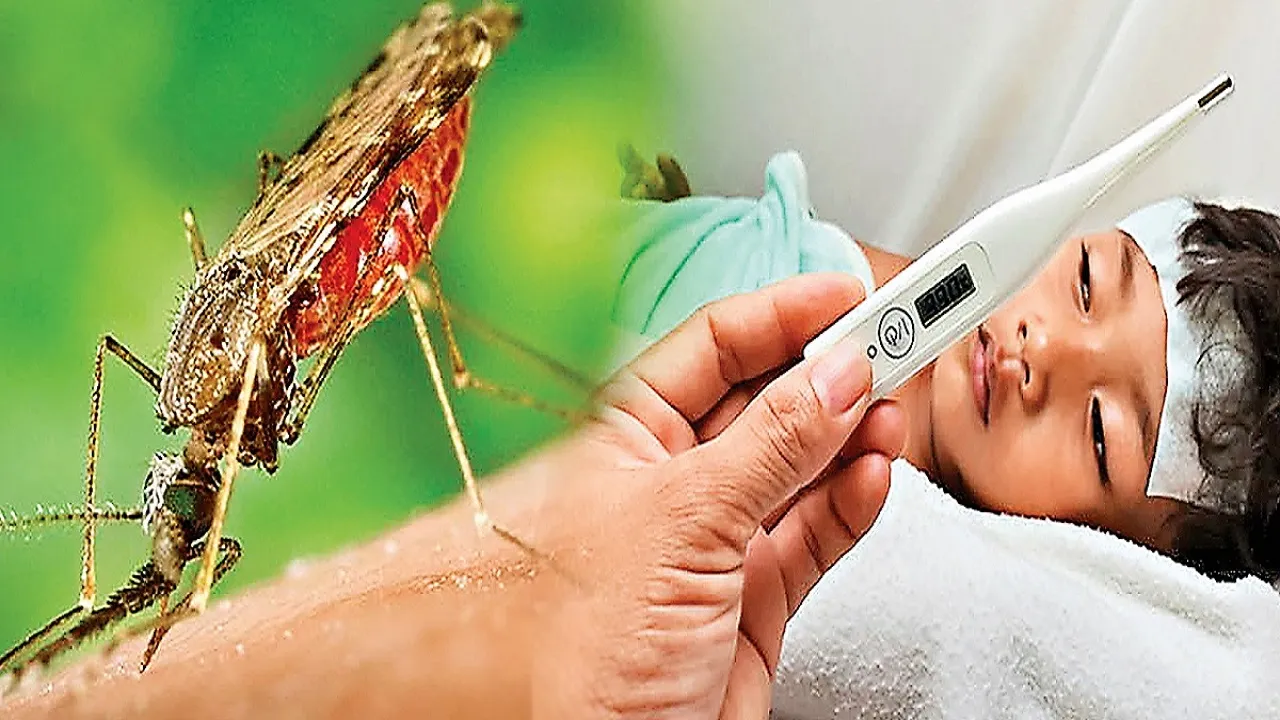 Malaria In Bihar