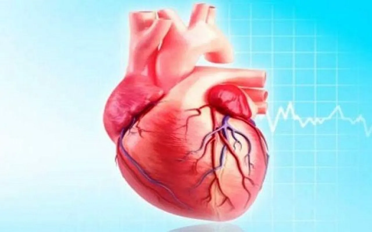 World Heart Day: ये 7 तरीके आपके दिल को रखेंगे बीमारी से दूर