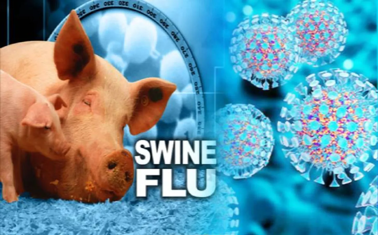 Swine flu