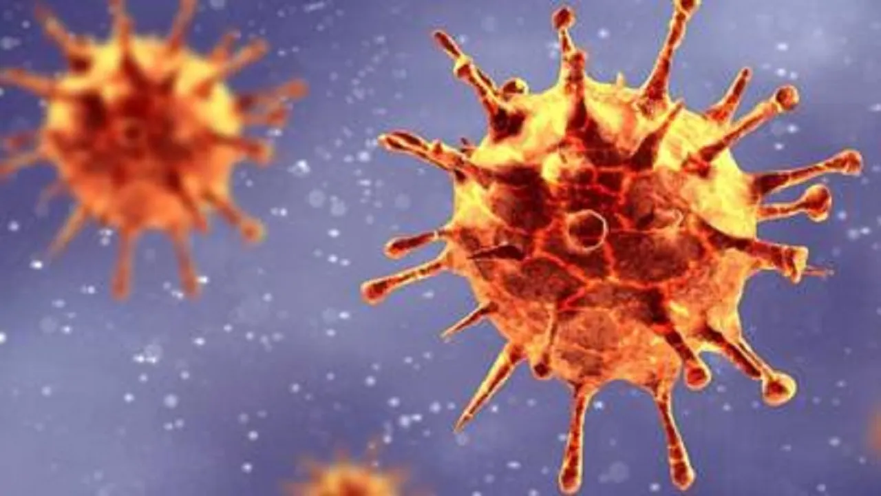 Corona Virus