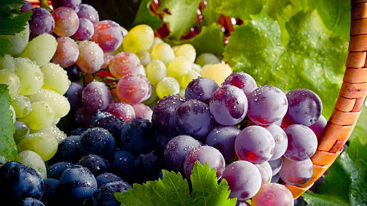 Grapes Side Effects