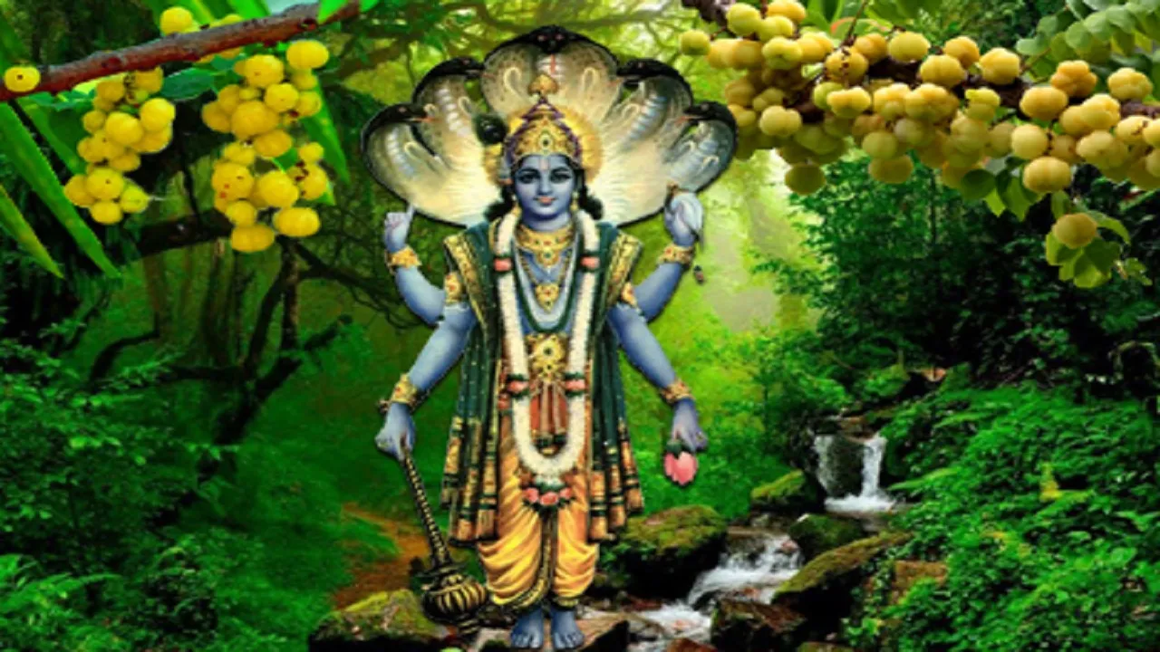Amalaki Ekadashi 2025