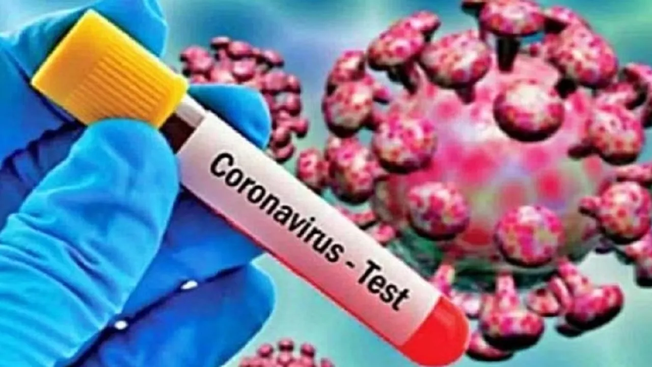 corona virus