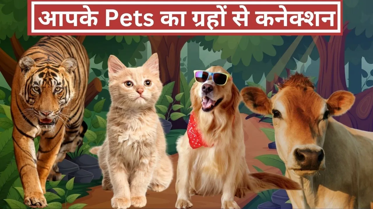 9 planets pets astrology