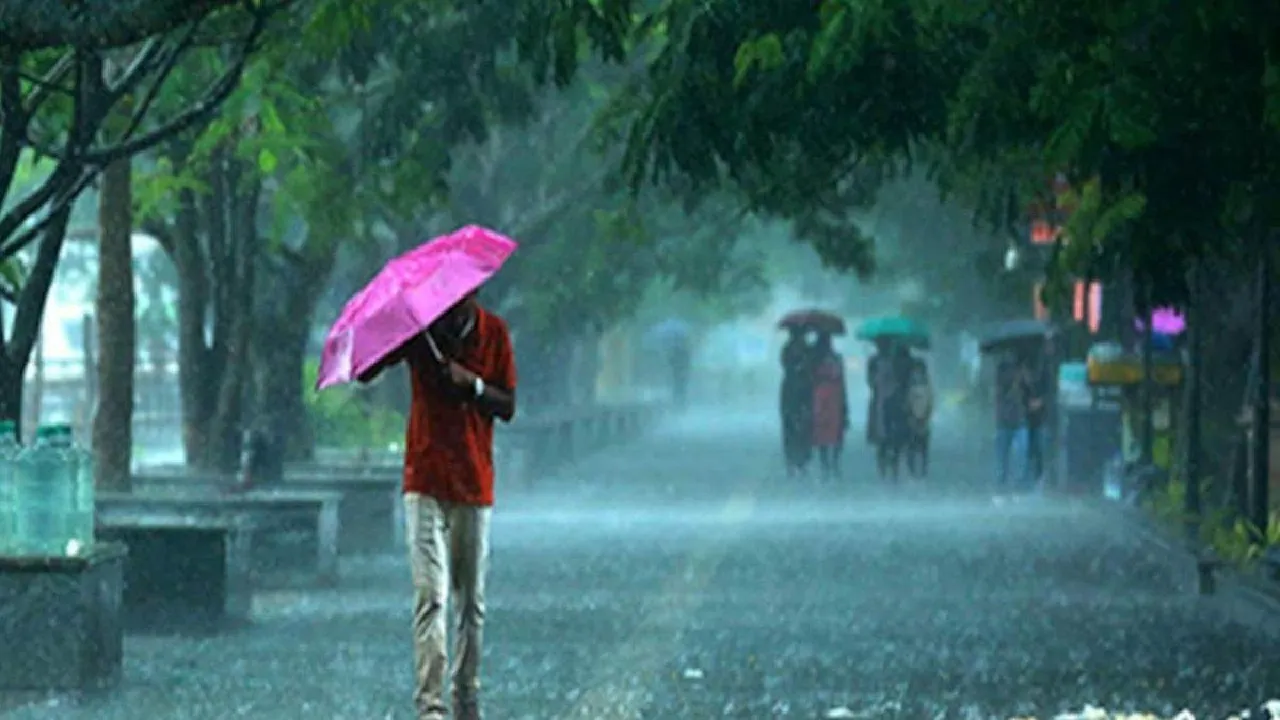 imd rainfall alert