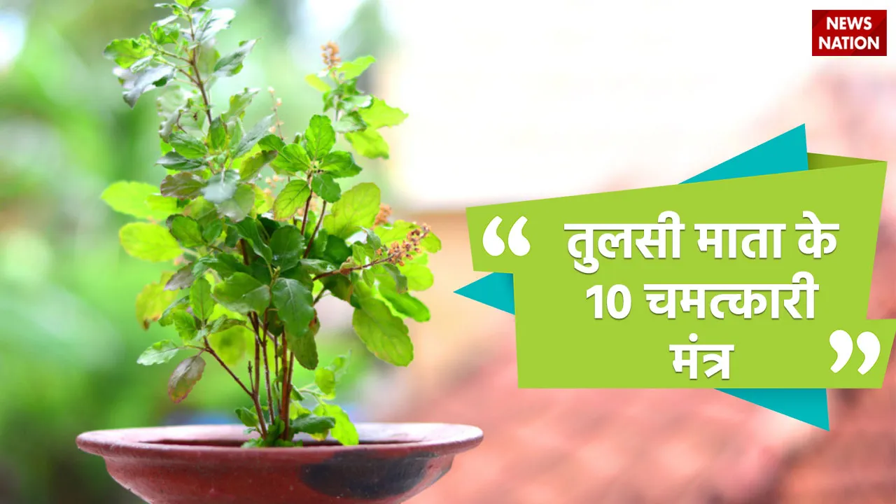 10 tulsi mantra in hindi know mantra benefits in hindi