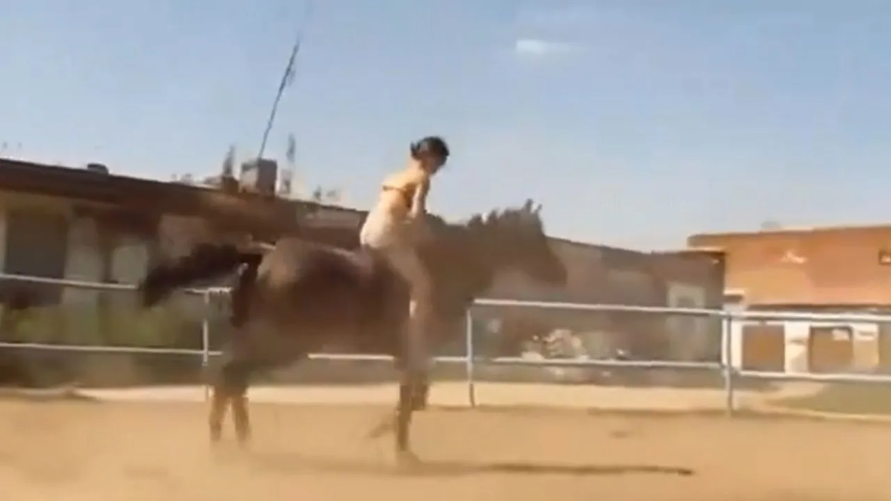 viral horse video