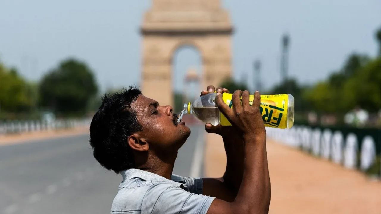 heat wave in delhi