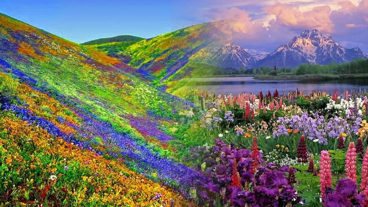 flower valley