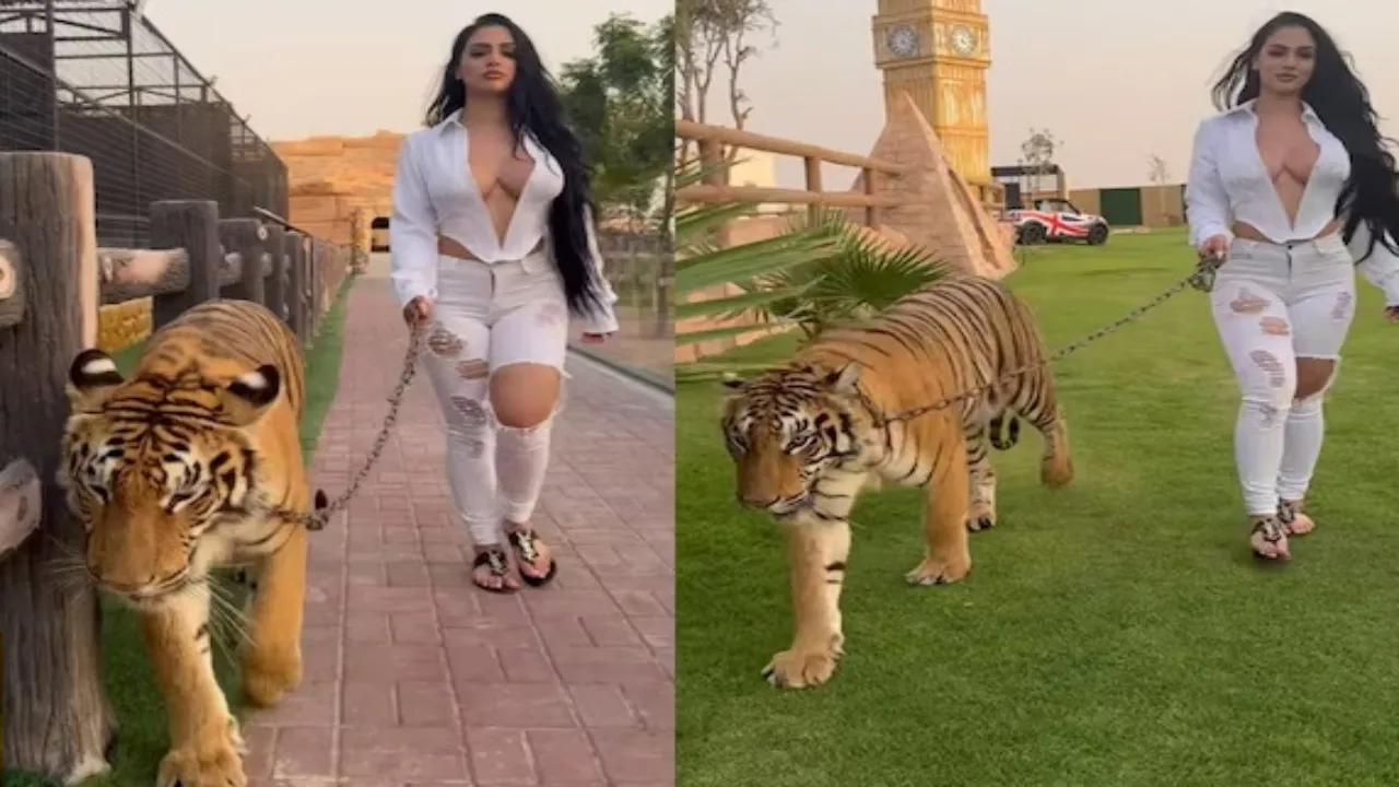 Girl walking with tiger