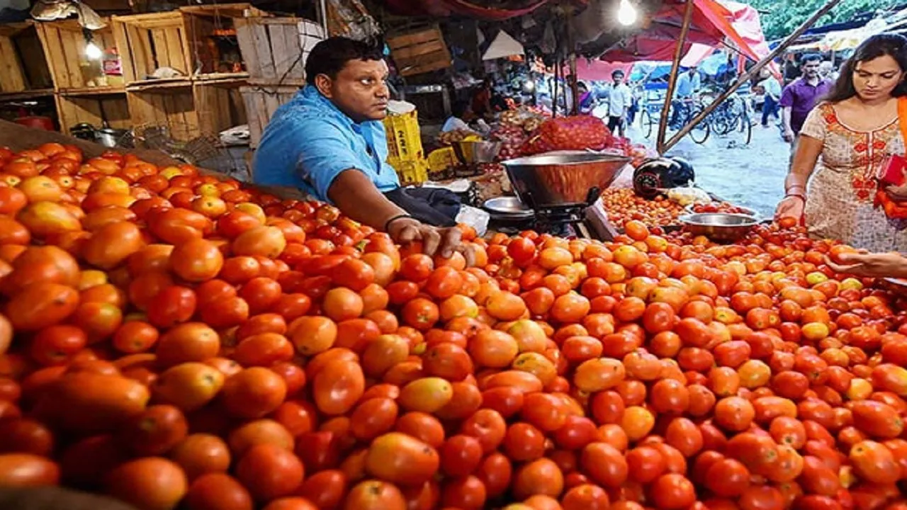 Delhi Tomato Price News