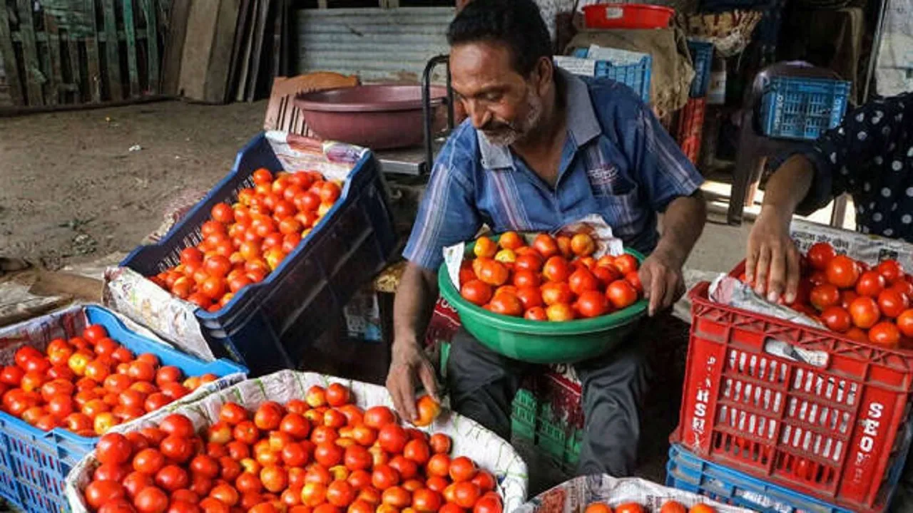 Tomato Price