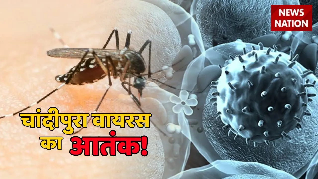 Chandipura Virus