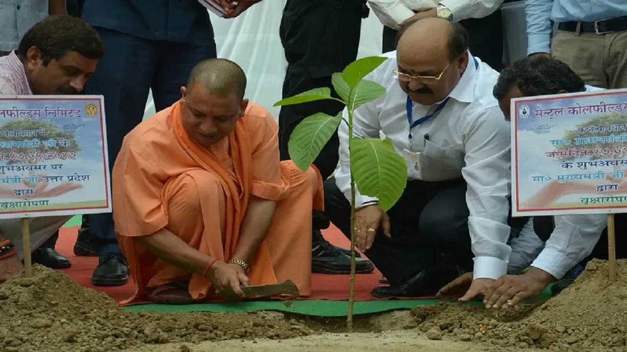 CM Yogi Plantation