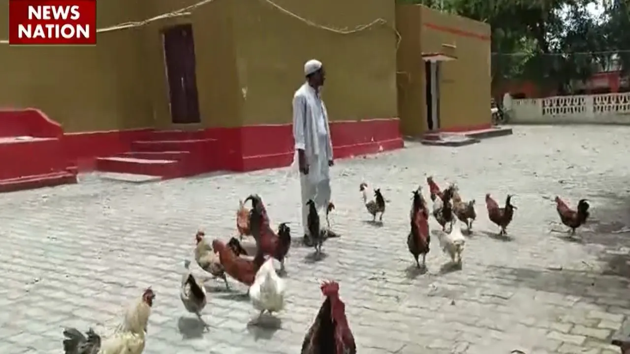 UP Balia Police Station Where chickens guards post