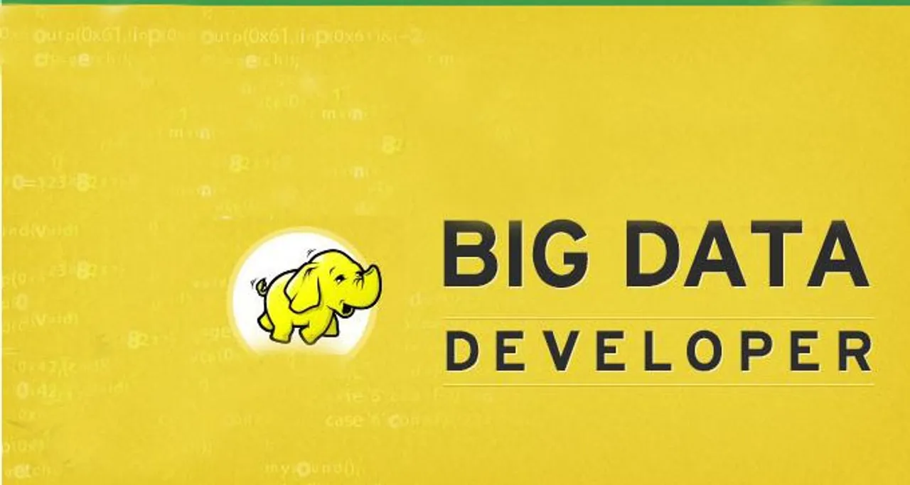 Big Data Developer