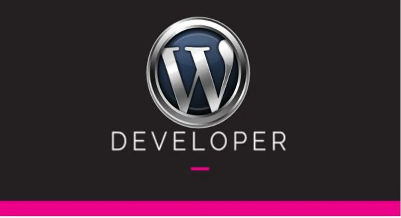 plugin and themees wordpress developer