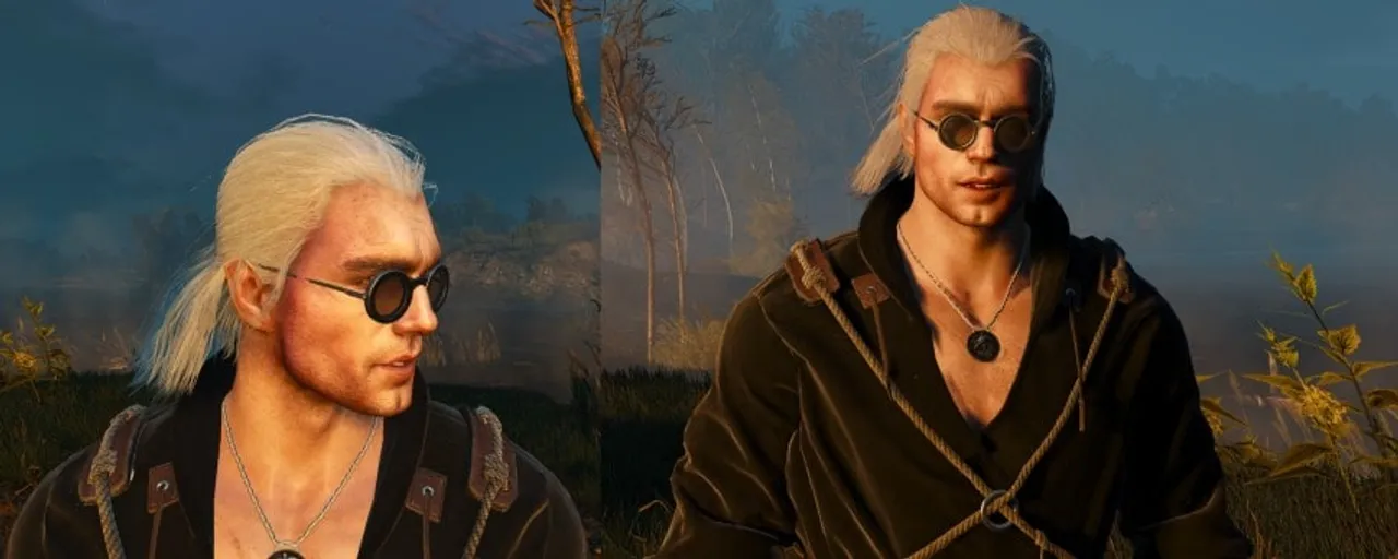 Top 5 Witcher 3 mods