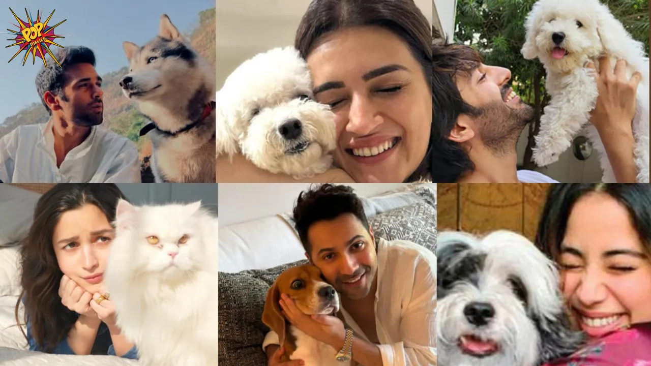 Bollywood Celebrities 